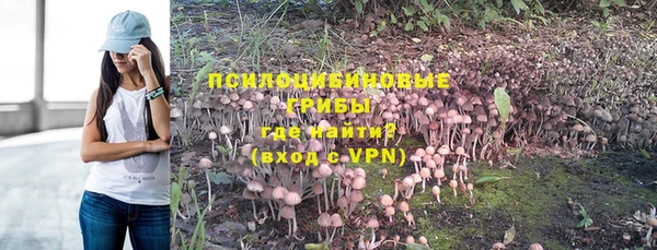 дживик Богородицк