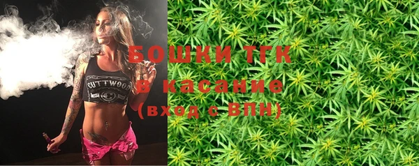 прущие грибы Аша