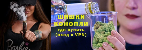 шишки Медвежьегорск