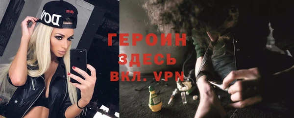 дживик Богородицк