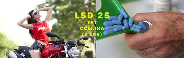 дмт Богданович