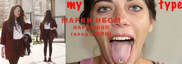 дмт Богданович