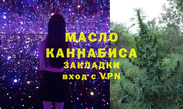 шишки Медвежьегорск