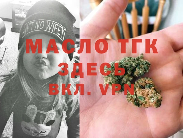 дмт Богданович