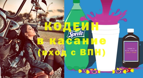 дмт Богданович