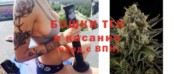 дживик Богородицк