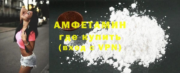дмт Богданович